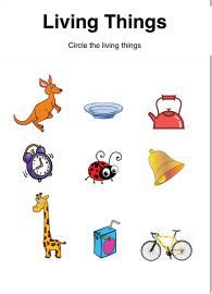 General Awareness Worksheet: Identifying Things That Grow - Living ...