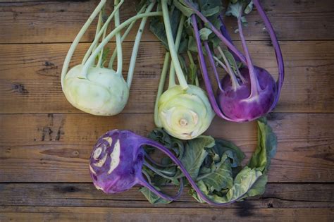 Kohlrabi benefits for health and body, skin, hair and Side effects, Healthful and Side effects ...