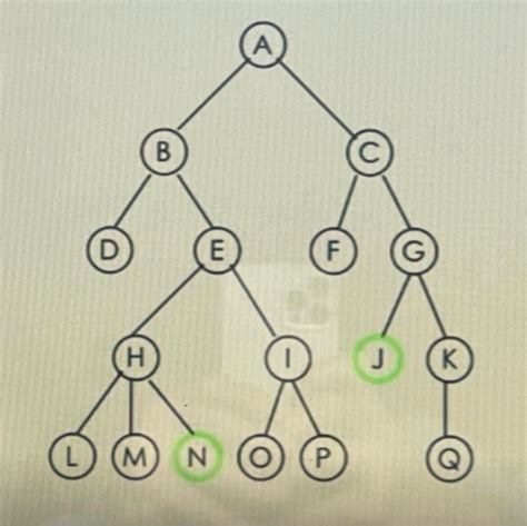 Image result for What Is Breadth First Search Algorithm in Ai