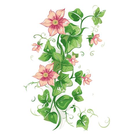 Flower Vine Vector, Sticker Clipart Ivy Vine With Pink Flowers And ...