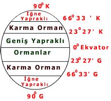 Paralel ve Meridyen. Yerel Saat Hesaplamaları