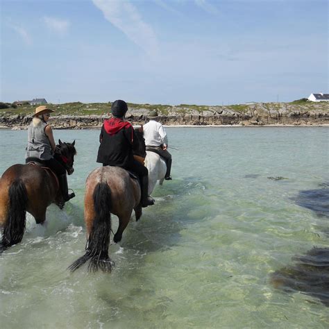 DARTFIELD (2026) All You Need to Know BEFORE You Go (with Photos ...