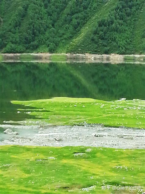 青海省 海北藏族自治州 门源百里油菜花海