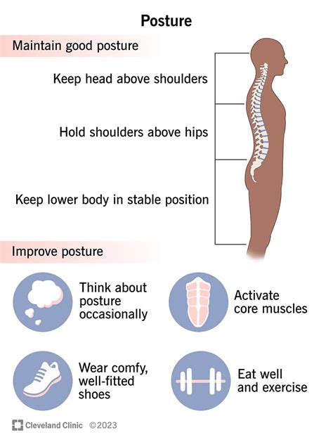 Image result for Proper Alignment