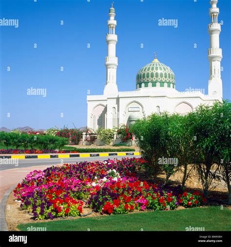 mosque Rustaq Batinah Batina sultanate Oman religion Islam building flowers Stock Photo - Alamy