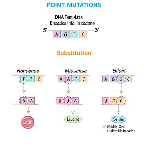 DNA Mutation 的图像结果
