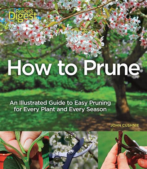 Title: How to Prune An Illustrated Guide to Easy Pruning : Amazon.in: Books