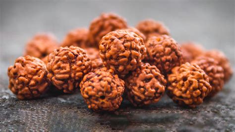 What is a Rudraksha? Discover the Mystical Power of Rudraksha Bracelets