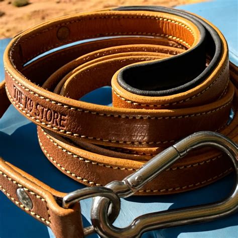 The K9 Store Premium Leather Premium Dog Leash, 5 Feet Long With Brass