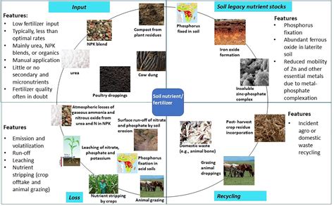 Image result for Soil Code