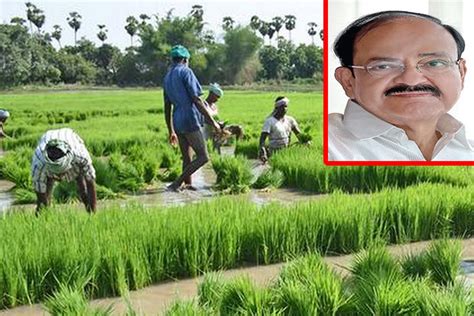 Protecting agri-interests: Freedom for farmers, finally