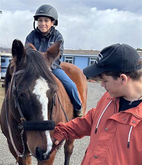 Student’s Work – Pegasus Riding School