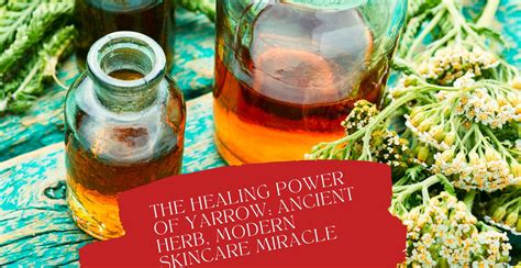 The Healing Power of Yarrow: Ancient Herb, Modern Skincare | Clinikally