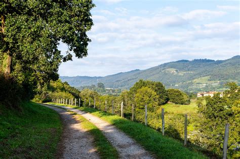 Camino Del Norte - Etape 20 - Villaviciosa à Peon