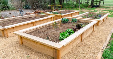 Raised Bed Vegetable Garden Design
