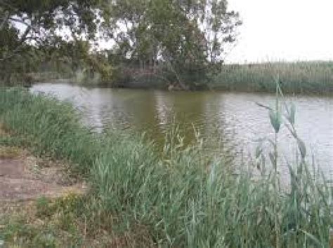 Nahal Alexander, kfar yona, Israel - Top Attractions, Things to Do ...