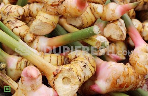 Thai Ginger / Fresh galangal 250 g – UDUPI FRESH