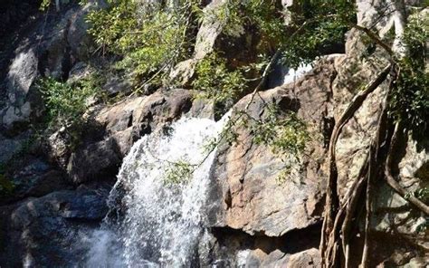Enjoy The Chill In Odisha’s Daringbadi Hills | WhatsHot Kolkata