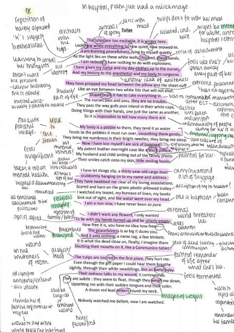 Summary 'Tulips' by Sylvia Plath - Poem annotation and analysis - AS ...