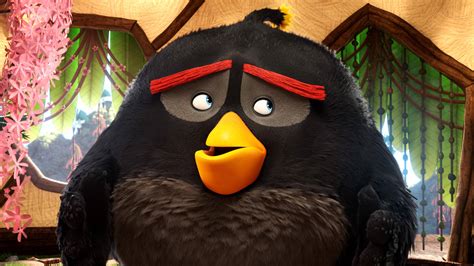 Black Angry Bird Wallpaper