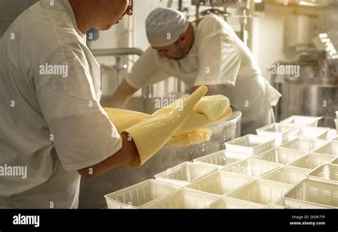 Image result for Cheese Manufacturing Process