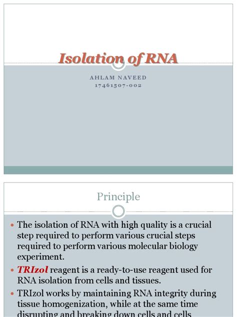 Isolation of RNA From Bacteria 的图像结果