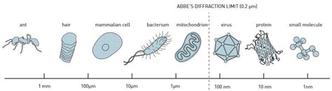 Image result for Diffraction Resolution Limit