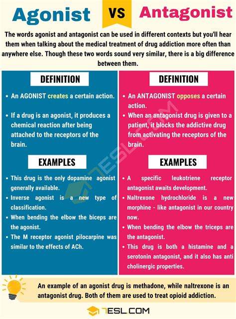 Agonist vs. Antagonist: Confusing Biological Terms • 7ESL