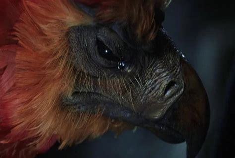 Things From Harry Potter Series That Science Can Explain In Muggle World