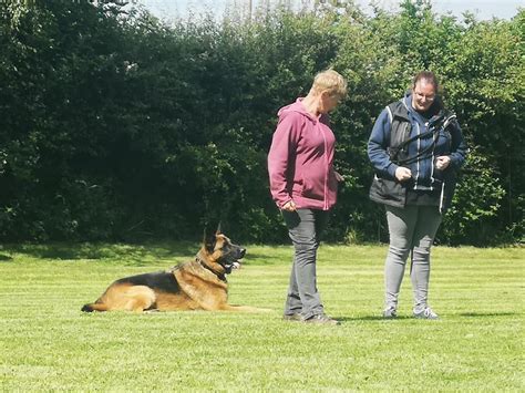 Corinne Wrend Training Day, Preston Trick Dogs, 30 June 2024 | AllEvents.in