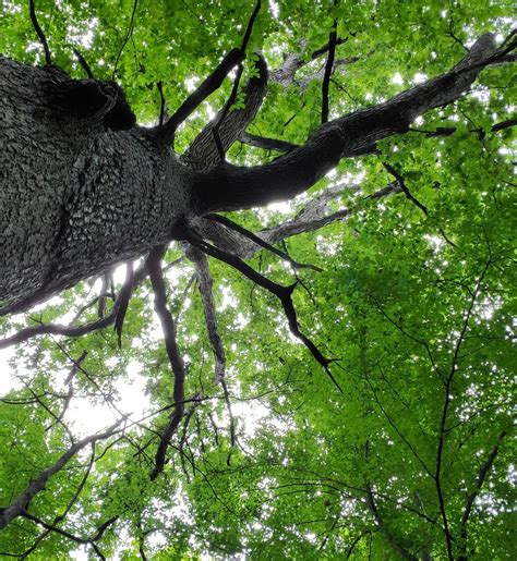 DEER HAVEN PRESERVE (2026) All You Need to Know BEFORE You Go (with ...