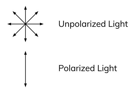 Polarized Vs Unpolarized
