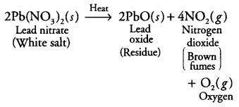 A white salt of lead on heating decomposes to give brown fumes and a ...