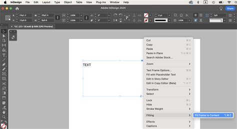 Image result for InDesign Text Box