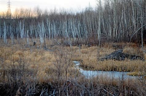 Milieux humides: la récréation est terminée