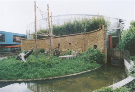 ZooLex Image - Outdoor exhibit for mandrills