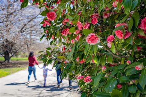 Spring at the Zoo: Making the Most of Your Visit – Philadelphia Zoo