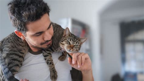Image result for Cat Command in Shell Script