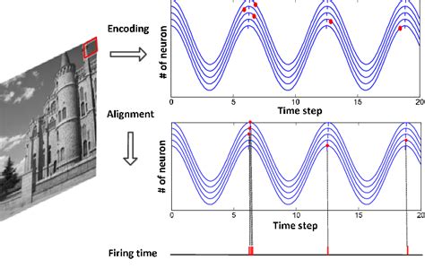 Frequency vs Phase Encoding 的图像结果