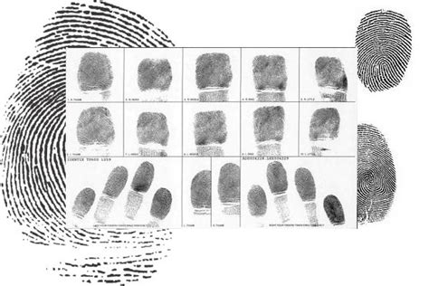 Intro to Fingerprints and Fingerprinting - U.S. Marshals Museum, 789 ...