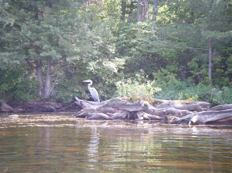 George Washington Campground: Camping & Hiking in Virginia