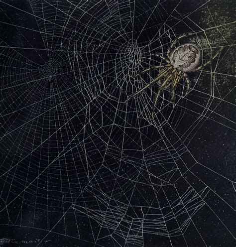 Spider Webs and Drugs Scientific American