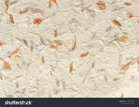 Nature Paper 的图像结果