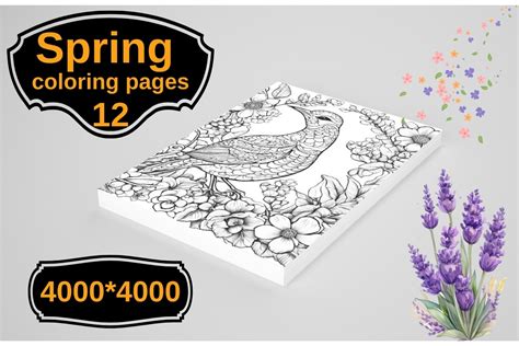 Image result for Spring Color Paper