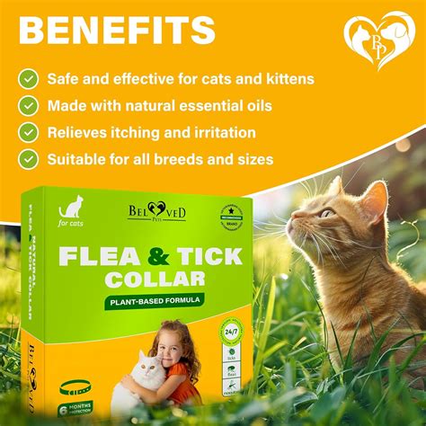 Natural Flea & Tick Collar for Cats, 12-Month Prevention, Safe ...