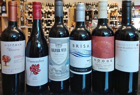 The Merlot & Cabernet Sauvignon 12 Bottle Case - Lancaster Wine Company