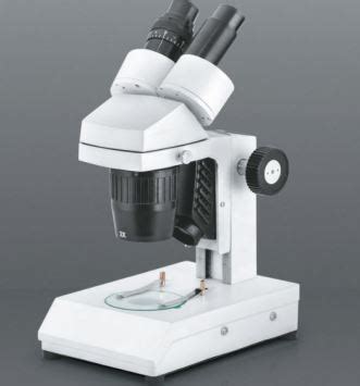 Image result for Dissecting Microscope