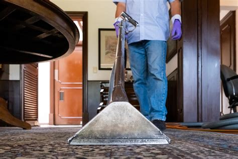 Can You Put Bleach In A Carpet Cleaner Clorox