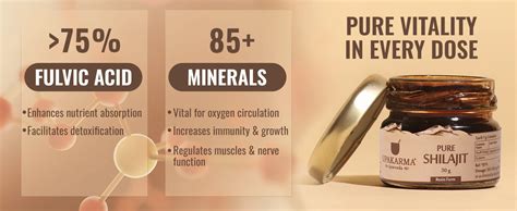 Upakarma Ayurveda Pure Shilajit Resin Form, 30 gm | Uses, Benefits ...