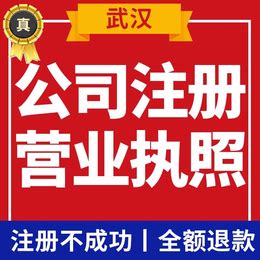 武汉三镇公司注册工商业务代账报税_公司注册、年检、变更_第一枪